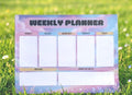 Pastel Weekly Planner Notepad | A5 Desk Organizer, Daily Productivity Pad